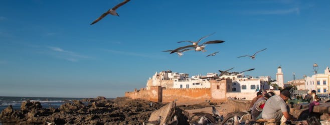 Viagem de um dia por Essaouira com opção de guia saindo de Marrakech